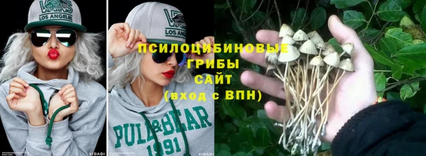 молекула духа Аркадак
