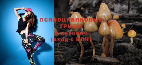 молекула духа Аркадак